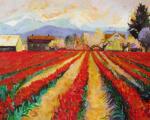 Skagit Tulips III