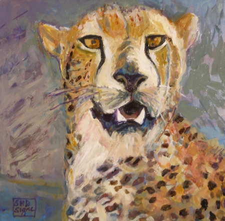 Cheetah