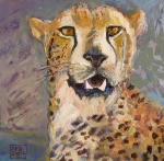 Cheetah